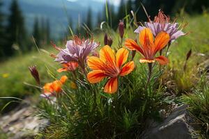 ai généré une tapisserie de fleurs sauvages et cristal clair ruisseaux dans un alpin prairie, environnement concept photo