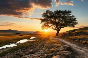 ai généré seul arbre à crépuscule dans ouvert champ, lever du soleil et le coucher du soleil fond d'écran photo