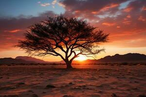 ai généré désert embrasse arbre silhouette dans vibrant coucher de soleil, lever du soleil et le coucher du soleil fond d'écran photo