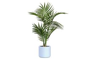 plante dans un pot blanc rendu 3d photo