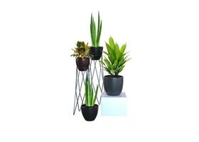 plante quadruple dans un vase moderne photo