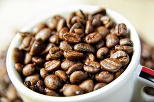 tasse à café et grains de café torréfiés.