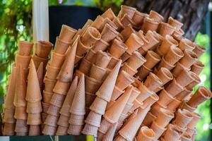 gaufre vide tasses pour la glace crème photo