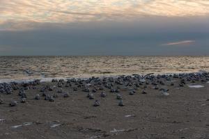 plage du soir d'hiver photo