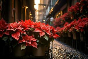 ai généré poinsettias - génératif ai photo