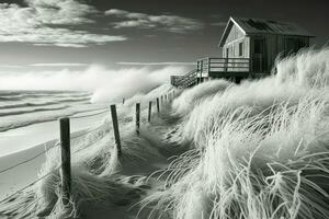 ai généré hiver des plages - génératif ai photo