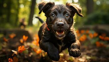 ai généré mignonne chiot en jouant dans le herbe, à la recherche à caméra Heureusement généré par ai photo