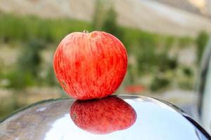 gros plan de pomme rouge fraîche photo