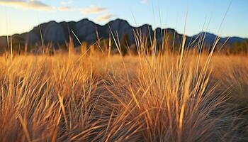 ai généré le coucher du soleil plus de le Montagne gamme, d'or Prairie généré par ai photo