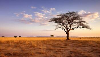 ai généré le coucher du soleil plus de le africain savane, une tranquille beauté généré par ai photo