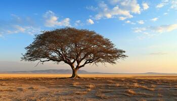 ai généré tranquille le coucher du soleil plus de sec le sable dunes dans Afrique généré par ai photo