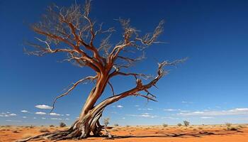 ai généré solitude dans le aride africain savane paysage généré par ai photo