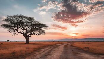 ai généré le coucher du soleil plus de le africain savane, une tranquille beauté généré par ai photo