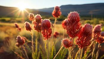 ai généré vibrant fleurs sauvages Prairie en dessous de le été le coucher du soleil généré par ai photo