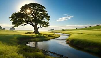 ai généré le coucher du soleil plus de le prairie, reflétant tranquille beauté généré par ai photo