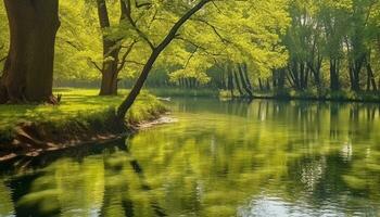 ai généré tranquille scène de l'automne forêt reflète vibrant couleurs généré par ai photo