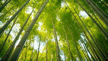 ai généré fraîcheur et croissance dans une tranquille bambou bosquet généré par ai photo