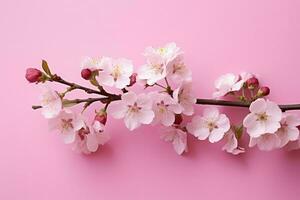 ai généré Cerise fleur fleurs sur rose Contexte bannière avec fleurs sur lumière rose Contexte. salutation carte modèle pour mariages, les mères ou aux femmes journée. ai généré photo