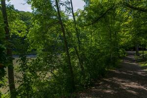 letchworth Etat parc milieu chutes photo