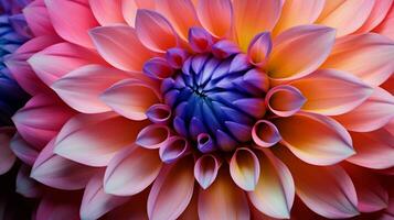 ai généré vibrant dahlia fleur une cadeau de la nature beauté dans macro photo