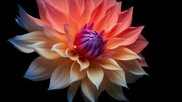 ai généré vibrant pétales de une Célibataire dahlia vitrine la nature photo