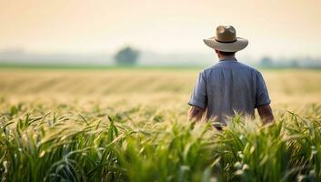 ai généré arrière vue de une Sénior agriculteur permanent dans le milieu de une blé champ. ai généré. photo