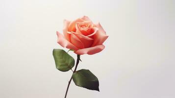 ai généré Rose sur blanc Contexte avec copie espace. présentation, fond d'écran, aimer, Valentin, fleur photo