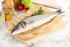 brut Loup de mer poisson pour cuisine photo