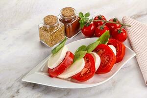 italien caprese salade avec mozzarella photo