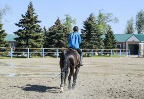 équestre des sports avec adolescents. cheval club. une fille est équitation une cheval. photo