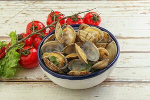 coquillage vongole mollusque clem au beurre photo