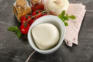 italien fromage mozzarella buffle Balle photo