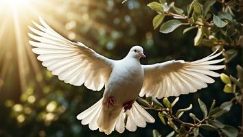 ai généré blanc Colombe sur une Contexte de une arbre branche photo