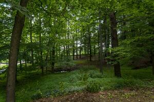 parc d'état de letchworth photo