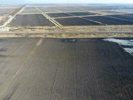 Haut vue de le champ. de bonne heure printemps dans le Kouban. agricole g photo