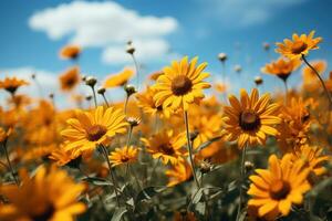 ai généré brise chuchote sérénité dans le tournesol champ, printemps la photographie photo