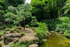 une Japonais jardin étang à tonogayato jardin dans été ensoleillé journée photo