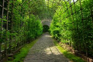 une vert plante tunnel à le jardin dans été large coup photo