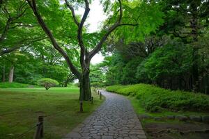 une Japonais jardin à le Publique vert parc large coup photo