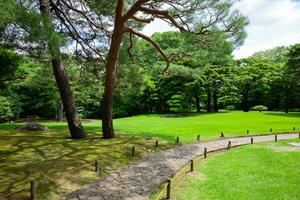 une Japonais jardin à le Publique vert parc large coup photo