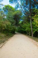 le jogging Piste dans atatürk ville forêt dans sariyer Istanbul photo