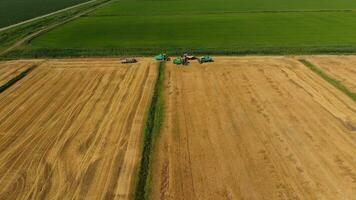 récolte orge moissonneurs. des champs de blé et orge, le travail de agricole machinerie. combiner moissonneuses-batteuses et tracteurs photo