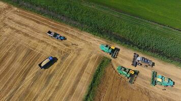 récolte orge moissonneurs. des champs de blé et orge, le travail de agricole machinerie. combiner moissonneuses-batteuses et tracteurs photo