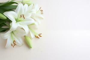ai généré brillant blanc fleurs de lys dans Floraison mis sur une blanc Contexte. photo