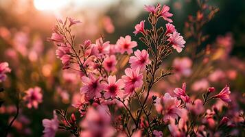 ai généré doux rose fleurs sauvages se prélasser dans d'or lumière photo