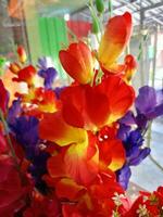 coloré fleurs épanouissement dans magasin jardin photo