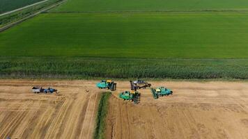 récolte orge moissonneurs. des champs de blé et orge, le travail de agricole machinerie. combiner moissonneuses-batteuses et tracteurs photo