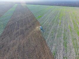 Haut vue de le tracteur cette charrues le champ. disquette le sol. sol cultivation après récolte photo