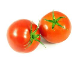 tomate sur blanc photo