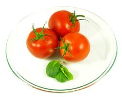 tomate sur blanc photo